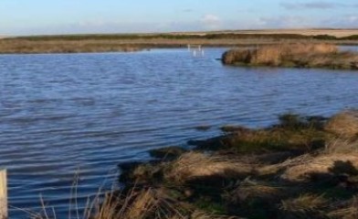 Head Farm HLS and North Cliff Marsh