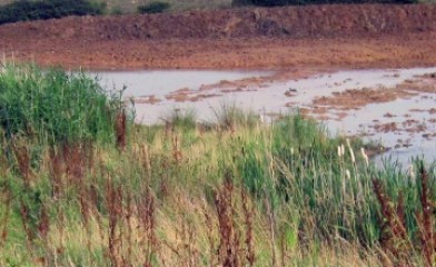 Thornwick and Sea Farm Wetland Creation