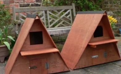 The Wolds Barn Owl Study Group