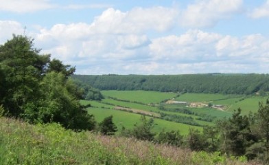 Environmental Impact Assessments