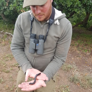 Daniel Lombard BSc. MCIEEM