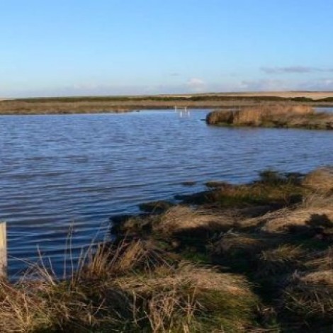 Head Farm HLS and North Cliff Marsh