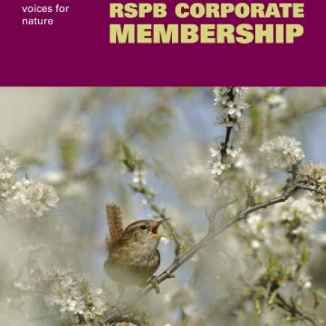 The Wold Ecology & RSPB Partnership