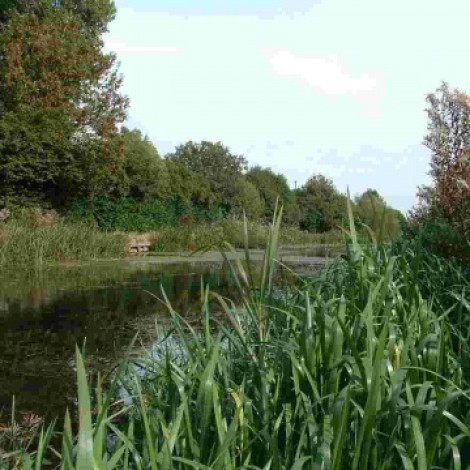 Ecological Appraisals