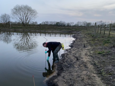 Undertaking a great crested newt survey