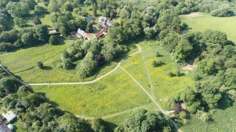 Preliminary Ecological Appraisal (PEA)