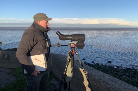 Undertaking bird surveys