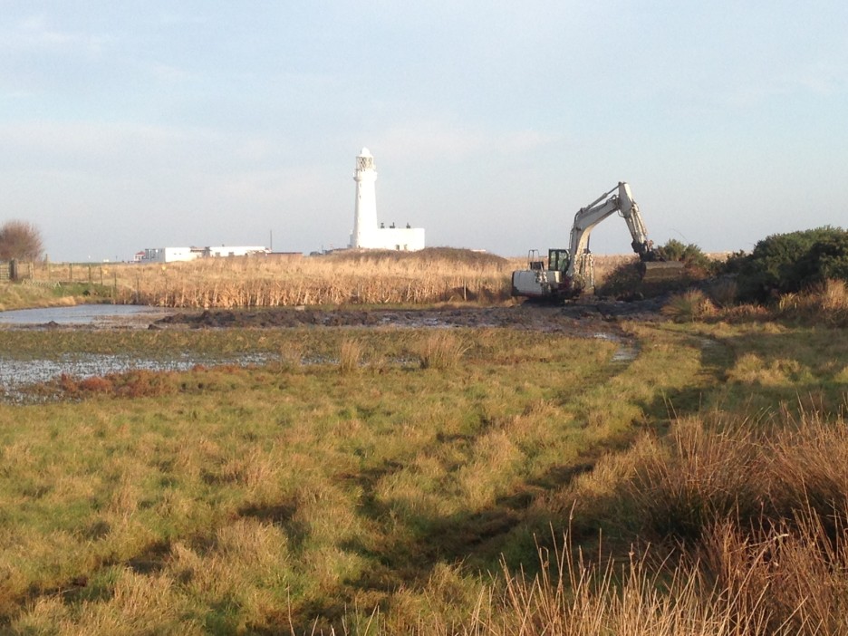 Simon Waines, Framer @ Head Farm