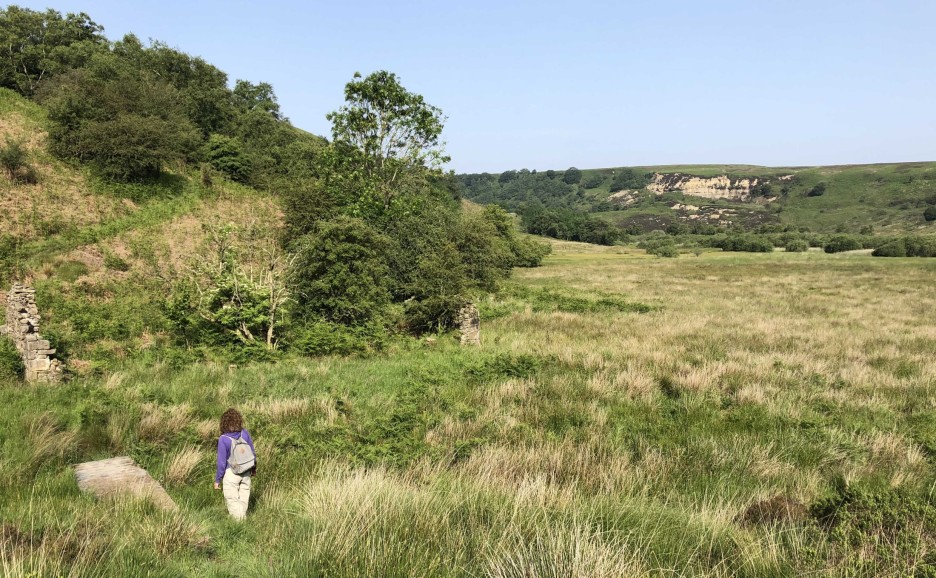 Elspeth Ingleby - North York Moors National Park Authority
